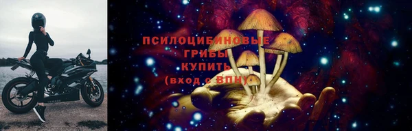 гидра Туринск