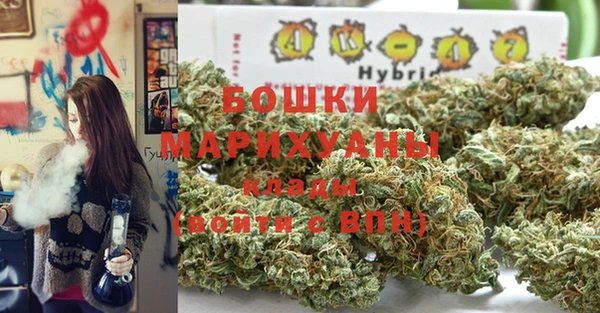 винт Касимов