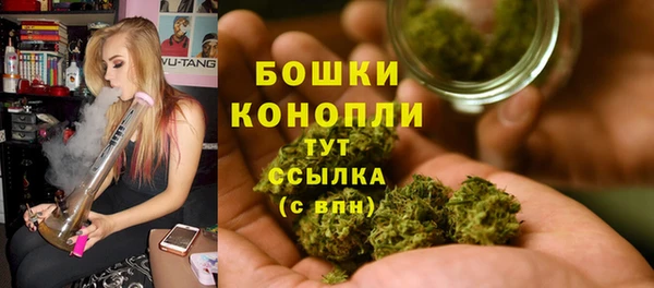 винт Касимов
