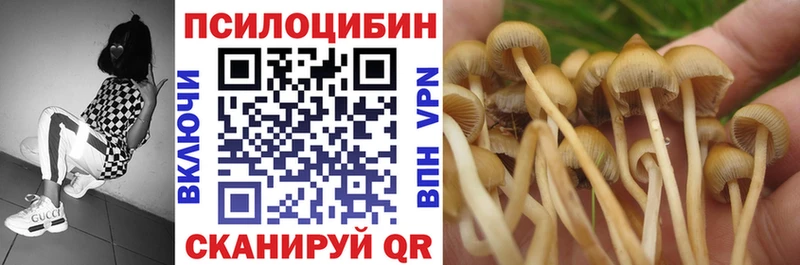Галлюциногенные грибы Psilocybine cubensis  Купить  Печора 